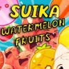 SUIKA WATERMELON FRUITS