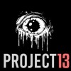 Project 13